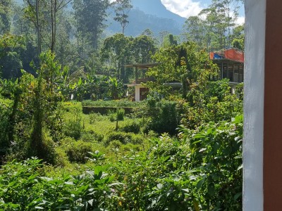 Inde - Sri Lanka — étape 12 : Adam's Peak