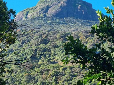 Inde - Sri Lanka — étape 12 : Adam's Peak