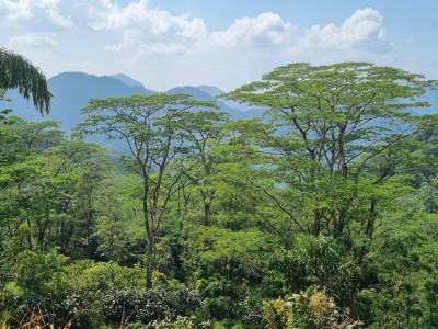 Inde - Sri Lanka — étape 12 : Adam's Peak