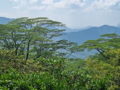 Inde - Sri Lanka — étape 12 : Adam's Peak
