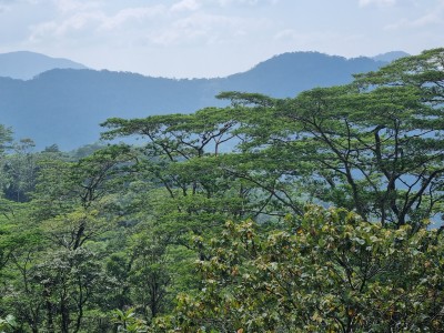 Inde - Sri Lanka — étape 12 : Adam's Peak