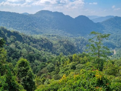 Inde - Sri Lanka — étape 12 : Adam's Peak