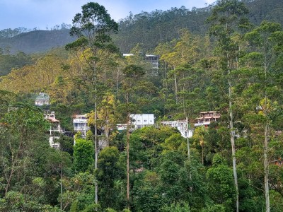 Inde - Sri Lanka — étape 12 : Adam's Peak