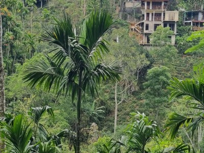 Inde - Sri Lanka — étape 13 : Ella