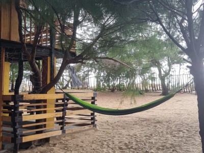 Inde - Sri Lanka — étape 14 : Arugam bay - Kumana parc