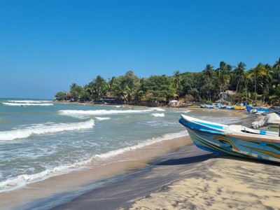 Inde - Sri Lanka — étape 14 : Arugam bay - Kumana parc