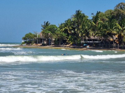 Inde - Sri Lanka — étape 14 : Arugam bay - Kumana parc