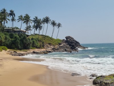 Inde - Sri Lanka — étape 15 : Tangalle