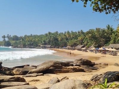 Inde - Sri Lanka — étape 15 : Tangalle