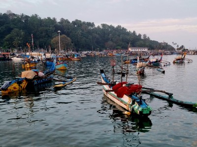 Inde - Sri Lanka — étape 16 : Mirissa