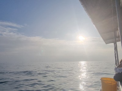 Inde - Sri Lanka — étape 16 : Mirissa