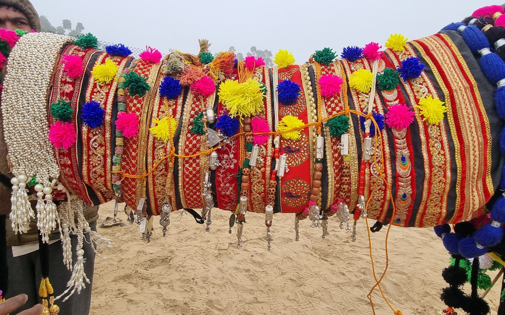 Inde - Sri Lanka — étape 4 : Bikaner
