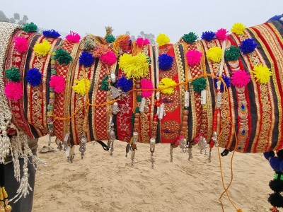 Inde - Sri Lanka – Étape 4 – Bikaner