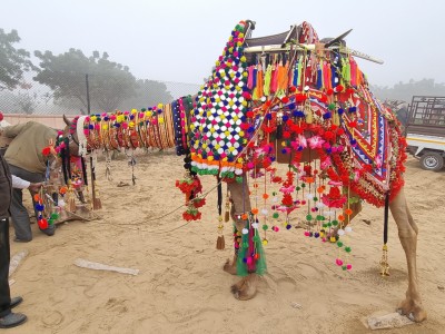 Inde - Sri Lanka — étape 4 : Bikaner