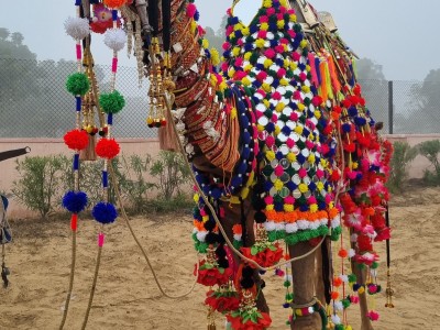 Inde - Sri Lanka — étape 4 : Bikaner