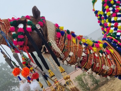 Inde - Sri Lanka — étape 4 : Bikaner