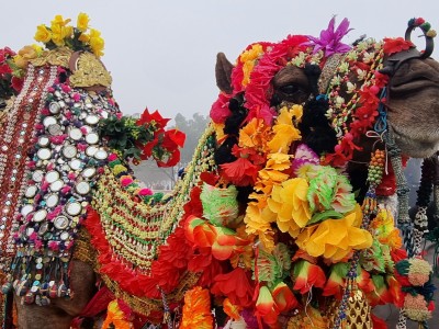 Inde - Sri Lanka — étape 4 : Bikaner
