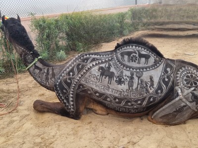 Inde - Sri Lanka — étape 4 : Bikaner