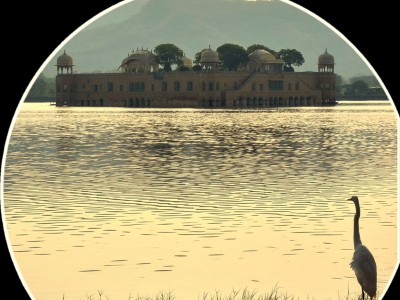 Inde - Sri Lanka — étape 5 : Jaipur