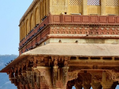Inde - Sri Lanka — étape 5 : Jaipur