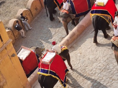 Inde - Sri Lanka — étape 5 : Jaipur