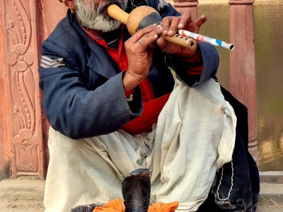 Inde - Sri Lanka — étape 5 : Jaipur