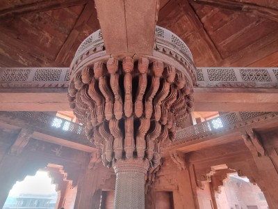 Inde - Sri Lanka — étape 6 : Monkey's temple - Abhaneri - Agra