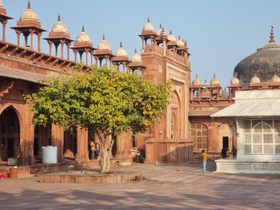 Inde - Sri Lanka — étape 6 : Monkey's temple - Abhaneri - Agra