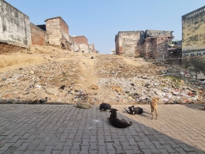 Inde - Sri Lanka — étape 6 : Monkey's temple - Abhaneri - Agra