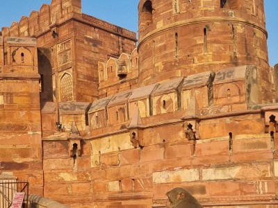 Inde - Sri Lanka — étape 6 : Monkey's temple - Abhaneri - Agra