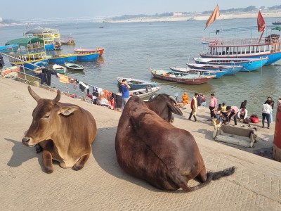 Inde - Sri Lanka — étape 7 : Varanasi