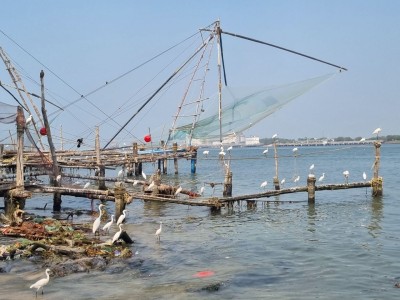 Inde - Sri Lanka — étape 8 : Kochi
