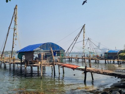 Inde - Sri Lanka — étape 8 : Kochi
