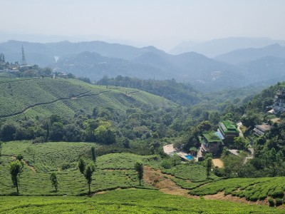 Inde - Sri Lanka — étape 9 : Munnar - Alleppey