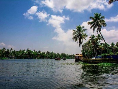 Inde - Sri Lanka — étape 9 : Munnar - Alleppey