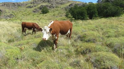 Patagonie — étape 10 : El Chalten