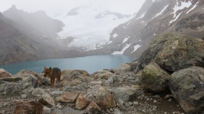 Patagonie — étape 10 : El Chalten