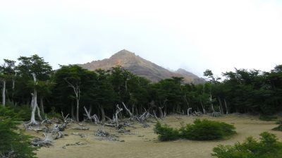 Patagonie — étape 10 : El Chalten