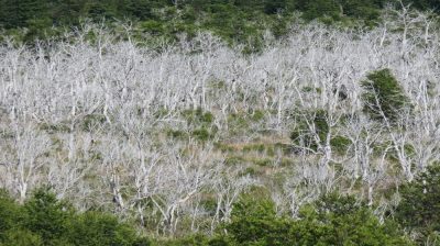 Patagonie — étape 10 : El Chalten
