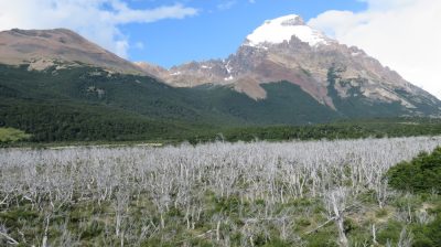 Patagonie — étape 10 : El Chalten