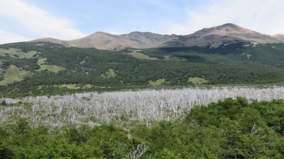 Patagonie — étape 10 : El Chalten