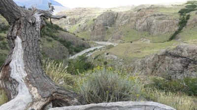 Patagonie — étape 10 : El Chalten