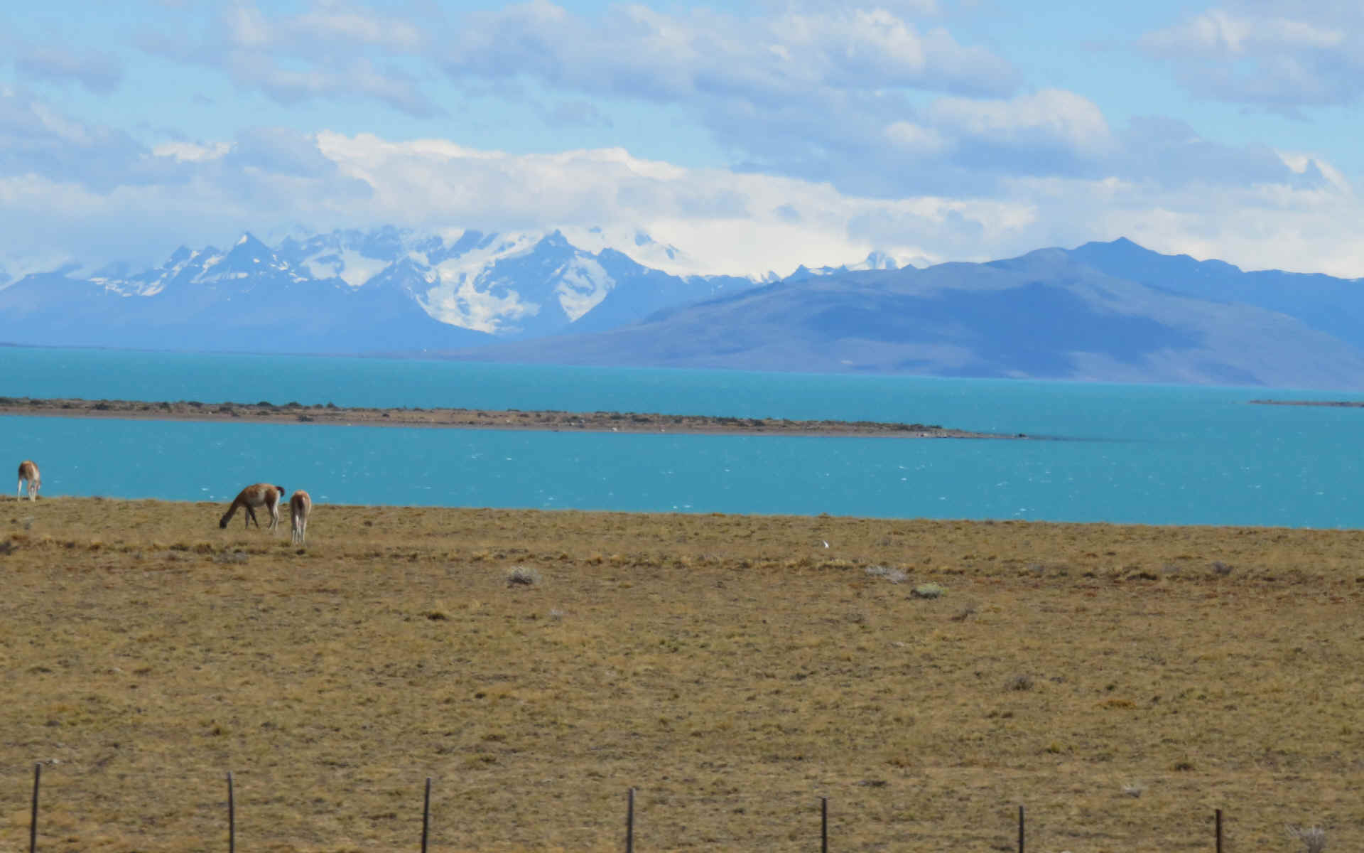 Patagonie — étape 11 : to El Calafate & Iguazu