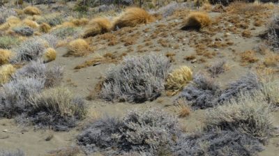 Patagonie — étape 11 : to El Calafate & Iguazu