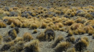 Patagonie — étape 11 : to El Calafate & Iguazu