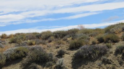 Patagonie — étape 11 : to El Calafate & Iguazu