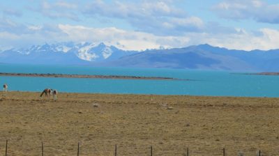 Patagonie — étape 11 : to El Calafate & Iguazu