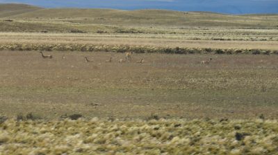 Patagonie — étape 11 : to El Calafate & Iguazu