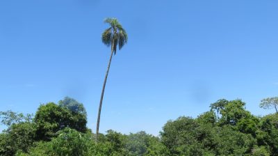 Patagonie — étape 12 : Iguazu Argentina