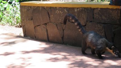 Patagonie — étape 12 : Iguazu Argentina